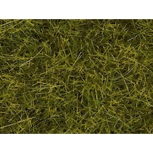 Noch 7110 Statik Çayır Dokusu, Çayır Yeşili, 12 Mm, 40 Gram Diorama Malzemesi-54592