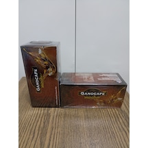 Ganocafe Mocha 2 x 420 G