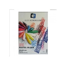 Alex Artist - 35X50 Pastel Fon Blok Spiralli 220 Gr *Yeni