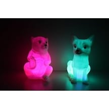 Kutup Ayısı Ve Kar Tilkisi Rcb Renk Değiştiren Led Gece Lambası .