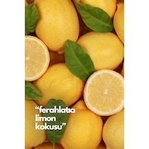 Lemon-limon Oda Kokusu Yedek Makine Spreyi 250 Ml Diğer