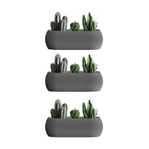 Omnipazar Krs-372 Dekoratif Plastik Mercan Uzun Saksı 1.3 Litre 3'lü Set
