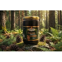 Mesiri-şifa Kozalak Pekmezi 800g