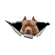 Kahverengi Amerikan Pit Bull Araba Sticker