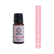 10 ML