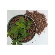 Kil Bilyesi 1 Lt 3-8 Mm Orkide Yetiştirme Kil Bilyesi Hidroponik Toprak Torf Diğer