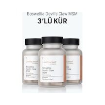Boswellia Devil's Claw Msm 3 Lü Kür