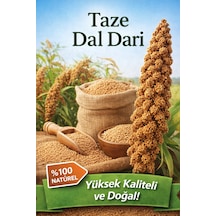Dal Darı Tilki Kuyruğu 1 Kğ