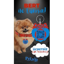 Petjoo 13.Bert Mavi-Kırmızı Qr'lı Köpek Künyesi