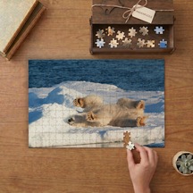 Karda Yatan Kutup Ayısı Tasarımı 240 Parça Ahşap Puzzle Ahşap Kutuda Mpy50464
