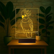 Luvivia Kakadu Papağan Pet Shop 3d Lamba - Masa Gece Lambası Şeffaf