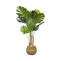 Yapay Monstera Ağacı Deve Tabani 150 Cm Geoi T Hasir Saksıda Kahverengi