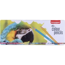 Bruynzeel Parrot Kuru Boya Kalemi 45 Li Çok Renkli