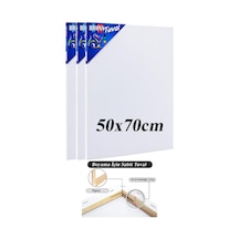 Brons Gerdirme Apartlı Arkadan Zımbalı Tuval 3 Adet 50 x 70 CM