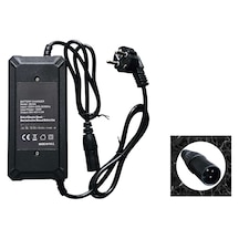 Elektrikli Bisiklet Pedal Destekli Şarj Aleti 36v 3 A Kalın 3 Girişli-2891 Kalın 3 Girişli