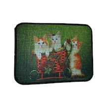 Elekli Desenli Kedi Tuvalet Önü Paspası 60 X 45 Cm Yavru Kediler