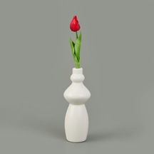 Dal Lale - Asorti - 33 Cm Çok Renkli