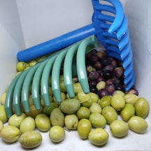 Dayanıklı Plastik 8 Taraklı Zeytin Toplama Tırmığı 2 Adet