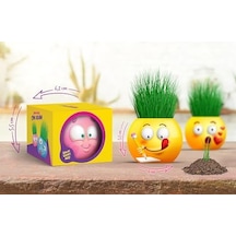 Yuup Emoji Temalı Çim Adam 6'lı Set Çocuklar İçin Eğitici Ve Eğlenceli Bitki Yetiştirme Kiti