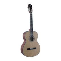 Guson C-1Eq Elektro Klasik Gitar + Taşıma Çantası