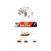 Rex Çok Etkili Hamamböceği Ve Karınca Jel Yem 20 G