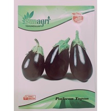 Topan Patlıcan Tohumu