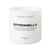 Cıtronella Mum 480gr Çok Renkli