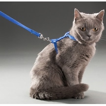Kedi Gezdirme Göğüs Tasması