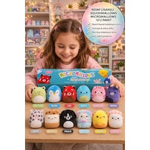 Squishmallows Orijinal Micromallows 12'li Paket Mini Peluş Seti 6.5 Cm Koleksiyon Oyuncak Çok Renkli