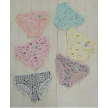 Kota 3402 Kız Çocuk Renkli Desenli Slip Külot 12 Adet 001