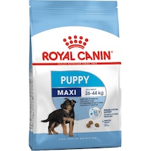 Royal Canin Puppy Maxi Büyük Irk Yavru Köpek Maması 15 KG
