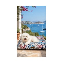Kedi Ve Köpek Yer Minderi Ve Matı Üst Kalite Yıkanabilir Kılıflı Fermuarlı %100 Boncuk Elyaf Kaydırmaz Taban Kedi Ve Köpek Yatağı Mavi Kırmızı - 882210843