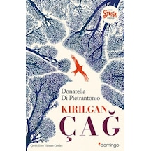Kırılgan Çağ - Qhdh-884404