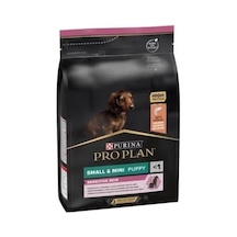 Small & Mini Puppy Somonlu Köpek Maması 3 Kg Cok Renkli