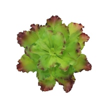 Yapay Sukulent Kırmızı Yeşil 30 Cm-9966