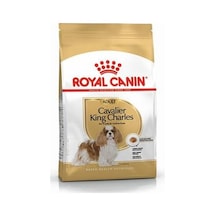 Cavalier Charles Adult Yetişkin Köpek Maması 1,5 Kg
