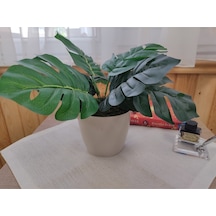 Monstera Devetabanı Beyaz Saksıda Yapay Çiçek