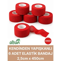 2,5cm 6'lı Set Kendinden Yapışkanlı Elastik Bandaj, Kohesiv Bandaj 2,5cm X 4.5m Spor, Bilek, Ayak Bileği, Veteriner Bandajı Kırmızı