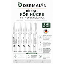 Dermalyn 5 Adet Bitkisel Kök Hücre Cilt Yenileyici Mimik Kırışıklık Yaşlanma Karşıtı Ampul Serum Dermaroller