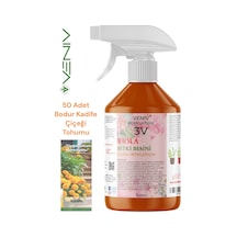 3v Viola 500 Ml Çiçeklendirici + 50 Bodur Kadife Çiçeği Tohumu Bahçenize Sıcak Bir Dokunuş 2