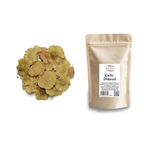 Çaltı Dikeni 70g