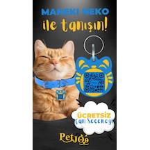 Mavi