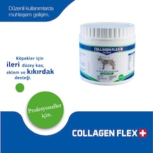 Collagen Flex Professional Eklem ve Kas Desteği 400 G