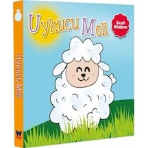 Sesli Kitabım - Uykucu Meli - Ayça Atçı - Net Çocuk Yayınları