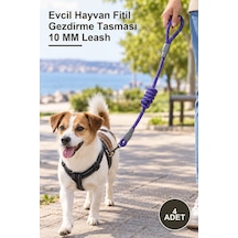 4 Adet Evcil Hayvan Fitil Gezdirme Tasması 10 Mm Leash Diğer