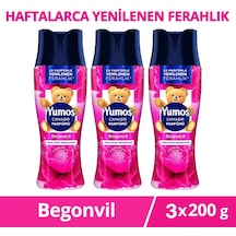 3'lü Set