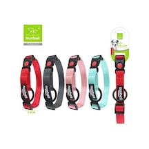 Nunbell Köpek Boyun Tasması 2 Mm Çok Renkli