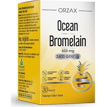 Orzax Bromelain 500 Mg 30 Tablet