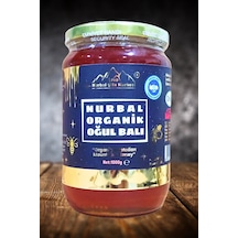 Nurbal Şifa Merkezi Organik Oğul Balı 1 KG