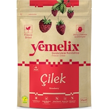 Freeze Dried Çilek Kuru Meyve Cipsi - Dondurularak Kurutulmuş Çilek 15g 15 G